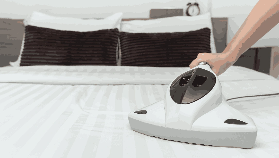 Professional Mattress Cleaning Charlemont